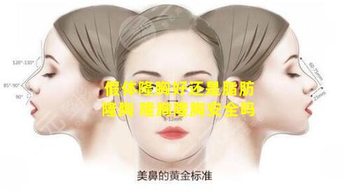 假体隆胸好还是脂肪隆胸 隆胸隆胸安全吗
